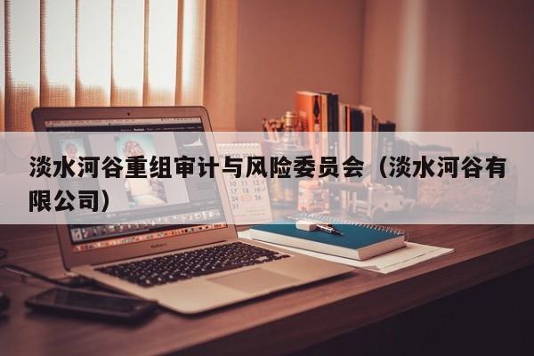 淡水河谷重组审计与风险委员会（淡水河谷有限公司）