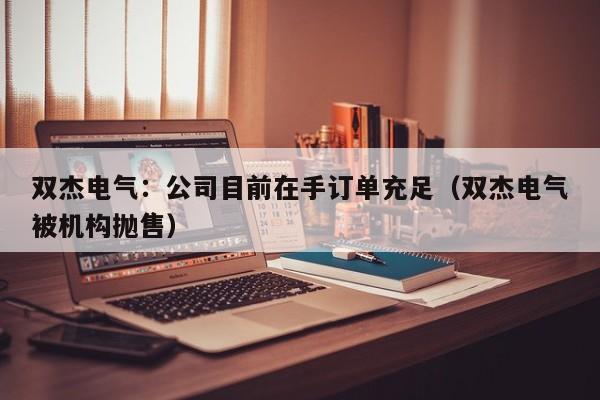 双杰电气：公司目前在手订单充足（双杰电气被机构抛售）