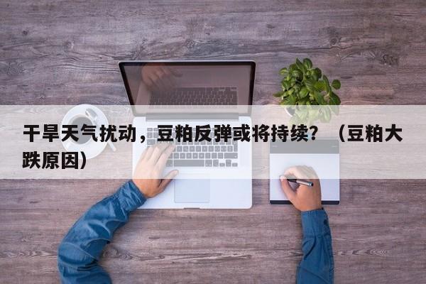 干旱天气扰动，豆粕反弹或将持续？（豆粕大跌原因）