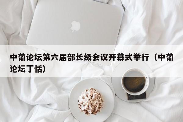 中葡论坛第六届部长级会议开幕式举行（中葡论坛丁恬）
