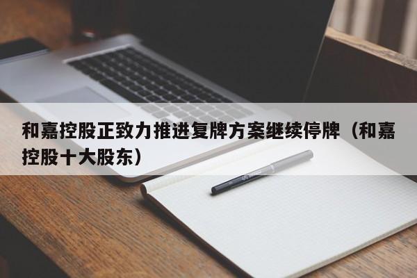 和嘉控股正致力推进复牌方案继续停牌（和嘉控股十大股东）