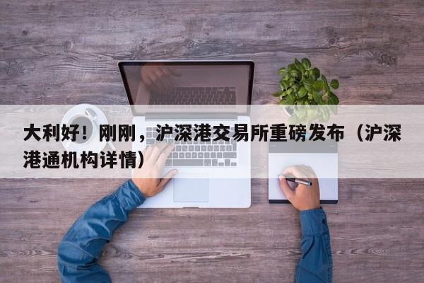 大利好！刚刚，沪深港交易所重磅发布（沪深港通机构详情）
