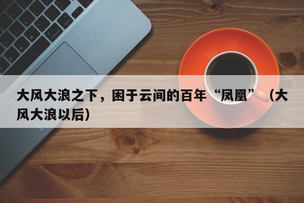 大风大浪之下，困于云间的百年“凤凰”（大风大浪以后）