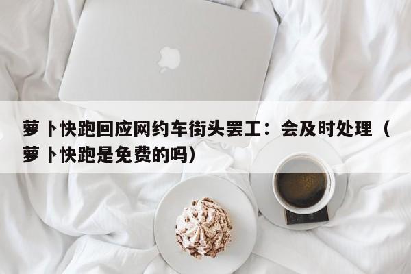 萝卜快跑回应网约车街头罢工：会及时处理（萝卜快跑是免费的吗）