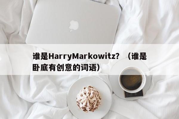 谁是HarryMarkowitz？（谁是卧底有创意的词语）