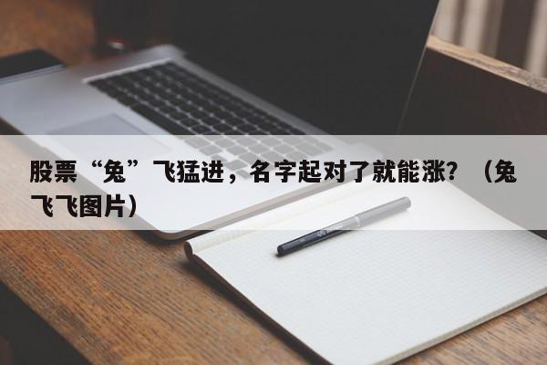 股票“兔”飞猛进，名字起对了就能涨？（兔飞飞图片）