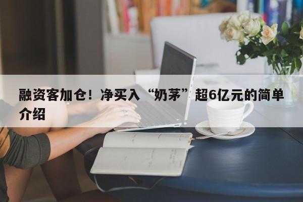 融资客加仓！净买入“奶茅”超6亿元的简单介绍