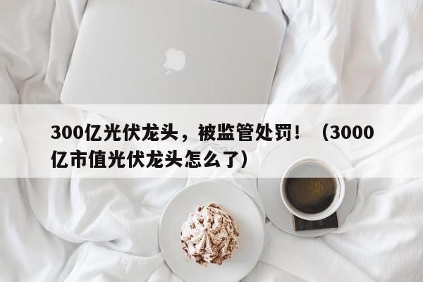 300亿光伏龙头，被监管处罚！（3000亿市值光伏龙头怎么了）