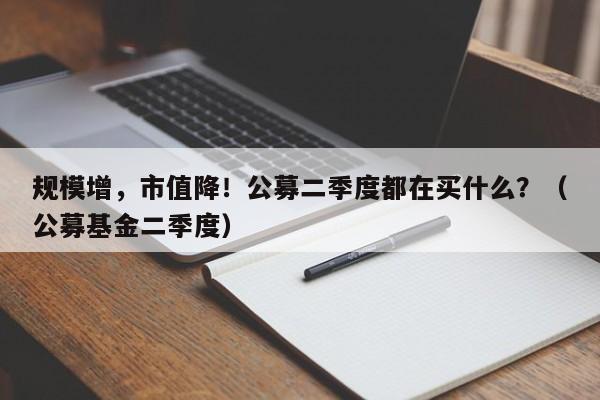 规模增，市值降！公募二季度都在买什么？（公募基金二季度）