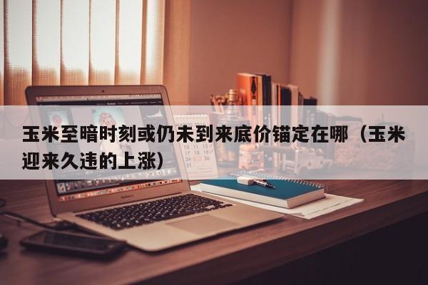 玉米至暗时刻或仍未到来底价锚定在哪（玉米迎来久违的上涨）