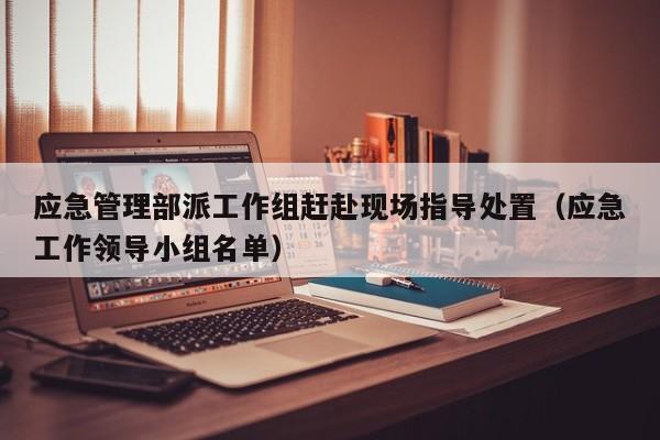 应急管理部派工作组赶赴现场指导处置（应急工作领导小组名单）