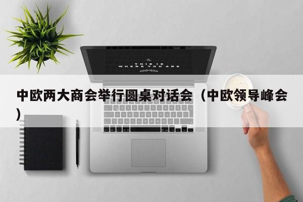 中欧两大商会举行圆桌对话会（中欧领导峰会）