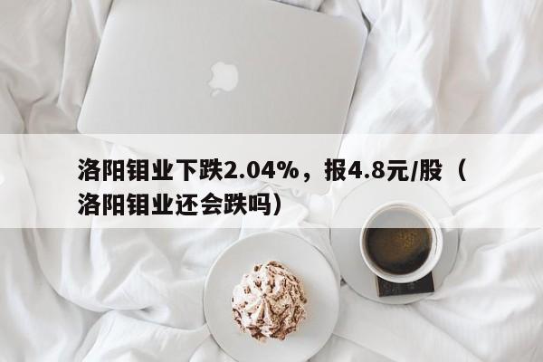 洛阳钼业下跌2.04%，报4.8元/股（洛阳钼业还会跌吗）