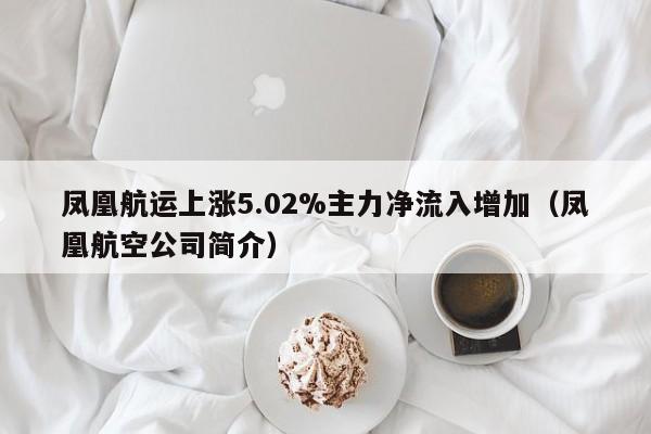 凤凰航运上涨5.02%主力净流入增加（凤凰航空公司简介）