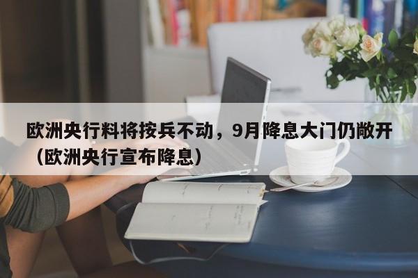 欧洲央行料将按兵不动，9月降息大门仍敞开（欧洲央行宣布降息）