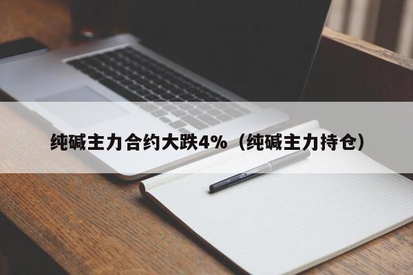 纯碱主力合约大跌4%（纯碱主力持仓）