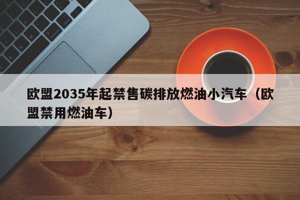 欧盟2035年起禁售碳排放燃油小汽车（欧盟禁用燃油车）