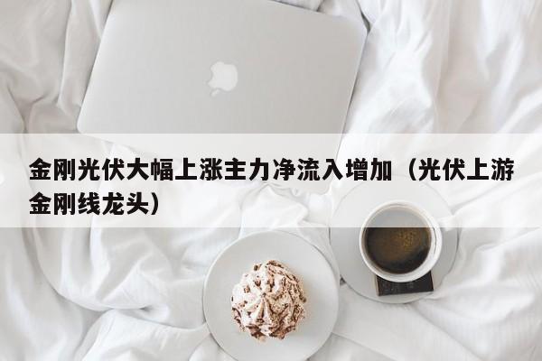 金刚光伏大幅上涨主力净流入增加（光伏上游金刚线龙头）