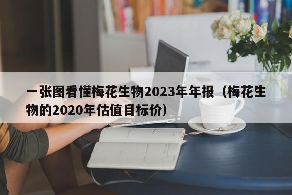 一张图看懂梅花生物2023年年报（梅花生物的2020年估值目标价）
