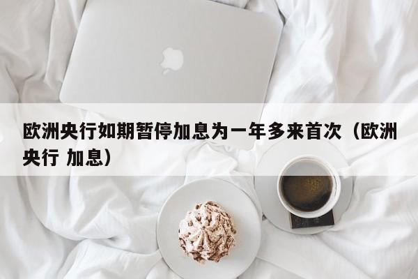 欧洲央行如期暂停加息为一年多来首次（欧洲央行 加息）