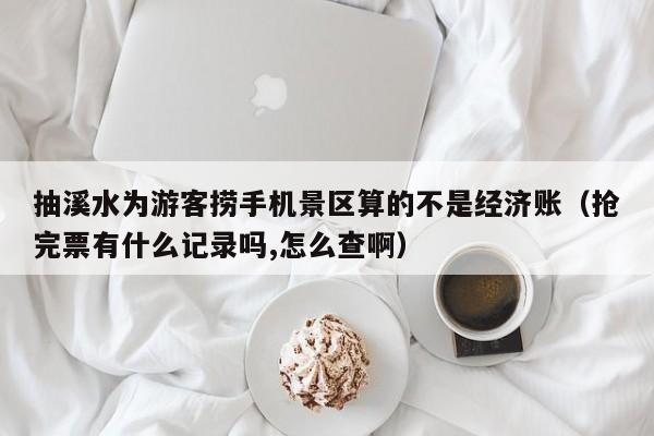 抽溪水为游客捞手机景区算的不是经济账（抢完票有什么记录吗,怎么查啊）