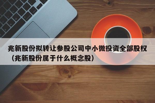 兆新股份拟转让参股公司中小微投资全部股权（兆新股份属于什么概念股）