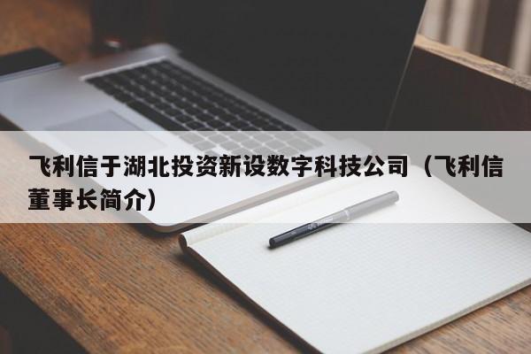 飞利信于湖北投资新设数字科技公司（飞利信董事长简介）