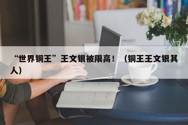 “世界铜王”王文银被限高！（铜王王文银其人）