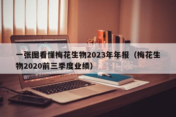 一张图看懂梅花生物2023年年报（梅花生物2020前三季度业绩）